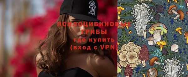 эйфоретик Новодвинск