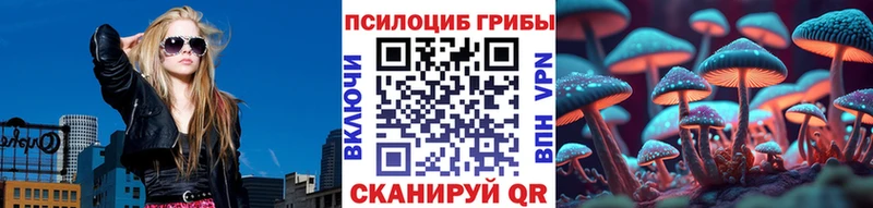 Купить где  Элиста  Псилоцибиновые грибы ЛСД 